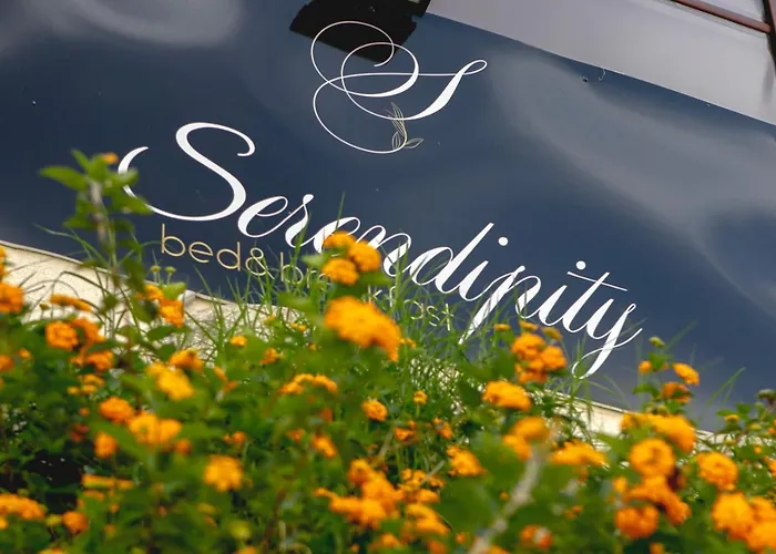 Serendipity B&B