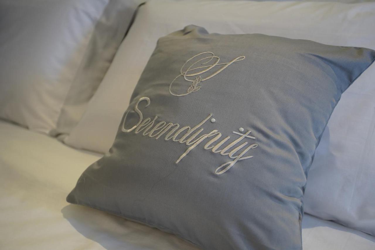 Serendipity *