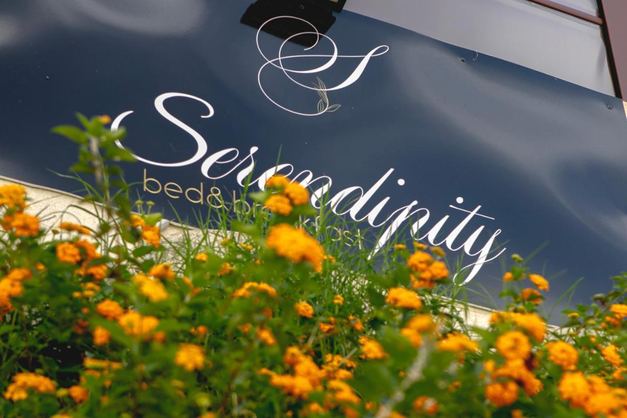 Serendipity *